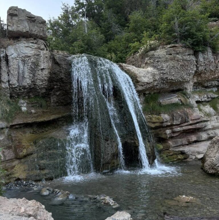 A beautiful waterfall cascading into a rocky pool surrounded by greenery.